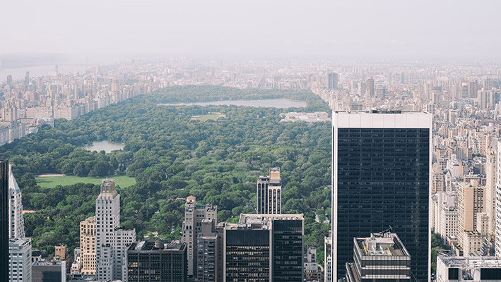 View of Central park from top of a building. Offbeat New York offers private tours of the park, contact us for more.